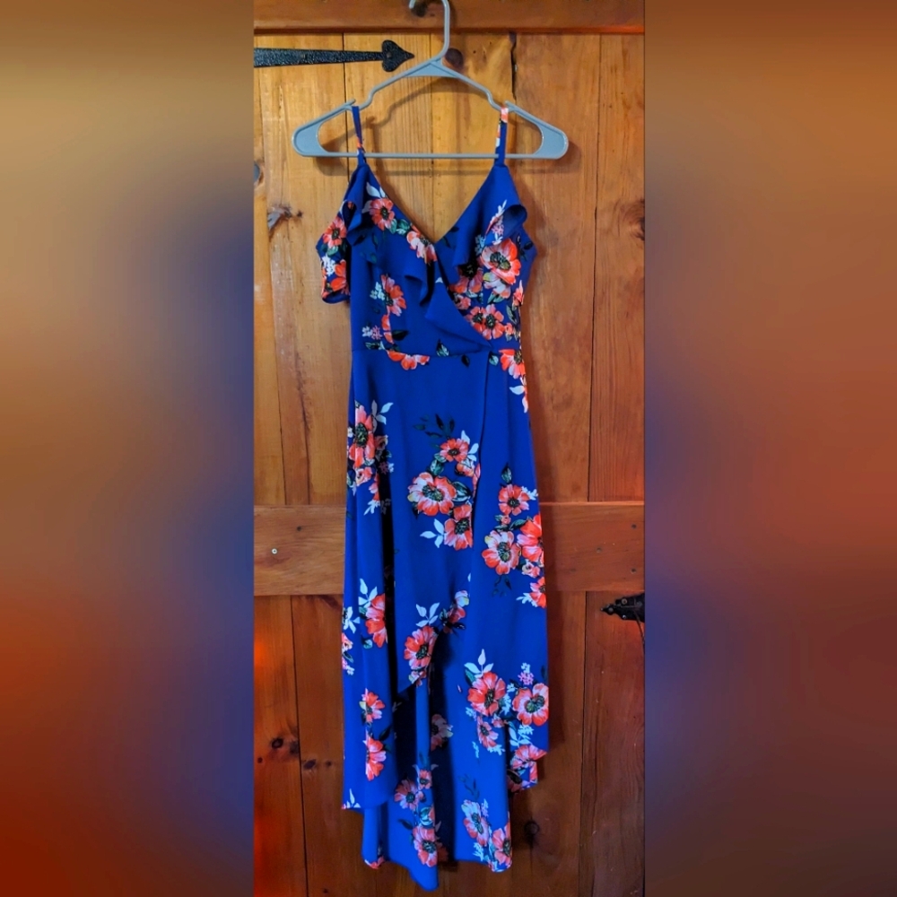 IZ Byer Blue Floral Dress XS